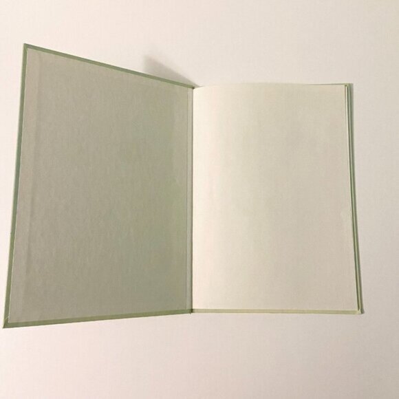 Vintage Brontosaurus by Angela Sheehan and Colin Newman Rourke Publishing - Picture 7 of 14